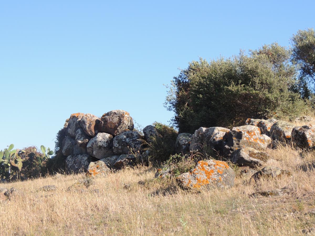 Il Nuraghe Bed & Breakfast Uras Ngoại thất bức ảnh